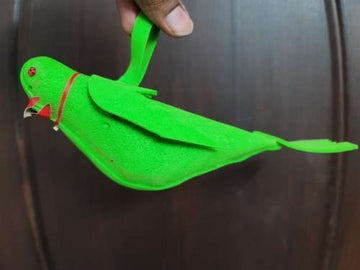 Sharu Space Foam Parrot