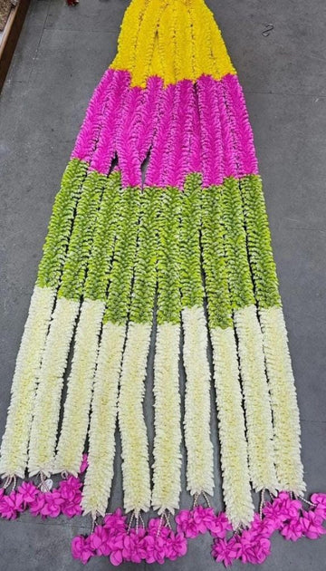Sharu Space 4 Color Combo String - 7ft