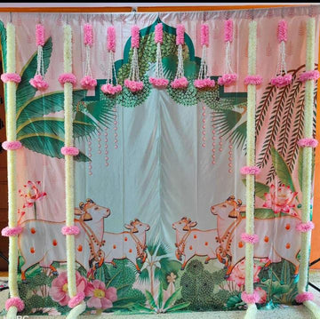 Backdrop Combo's