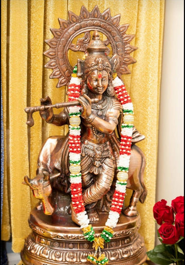 Sharu Space Cow Krishna - 27inch